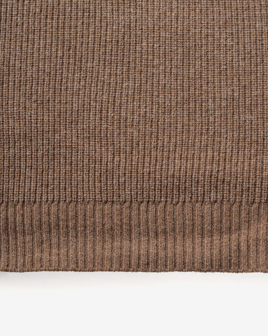 SW2101 Camel